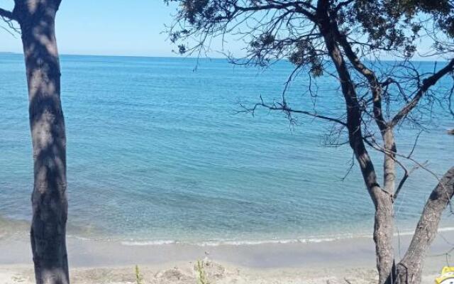 Marina Di Bravone T3 bord de mer