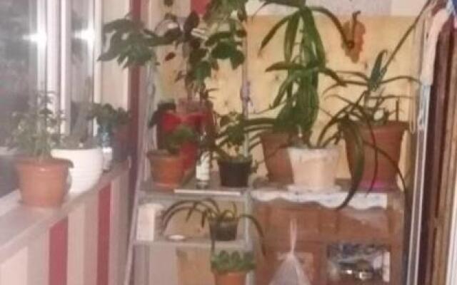 2-ух комнатная квартира