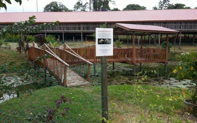 Sabah Tea Garden-Longhouses