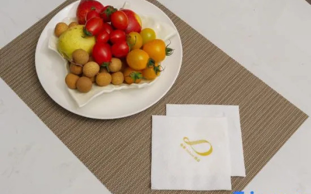 XANA Deluxe Liaoning Provincial Museum Taoxian International Airport Branch