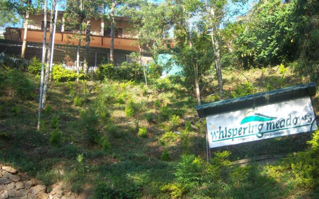 The Whispering Meadows Resort