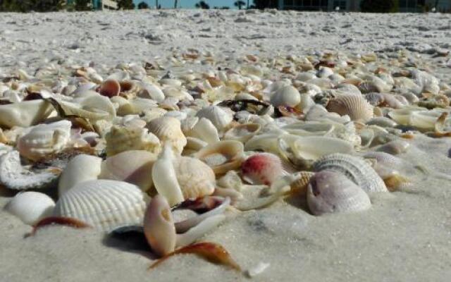 2BR/1BA Vacation Rental - Sienna Park