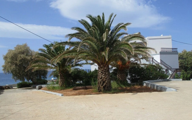 Kosta's House