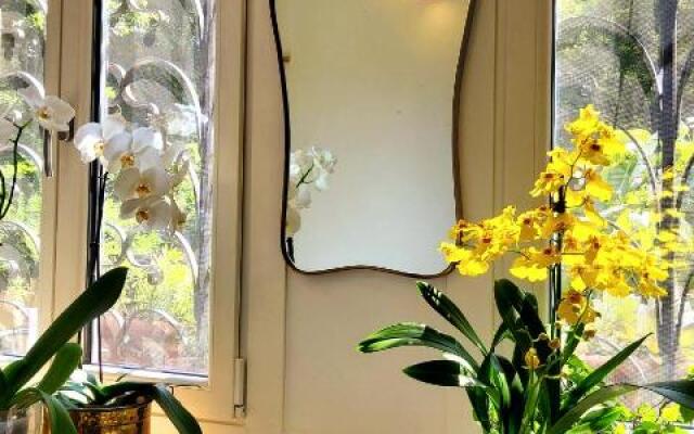 La Casa degli Specchi