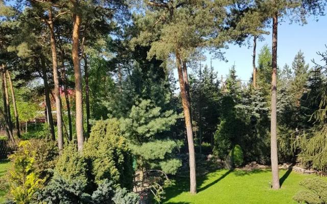 Molas svečių namai