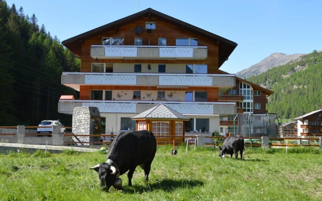 Amethyst Saas-grund in Saas-grund