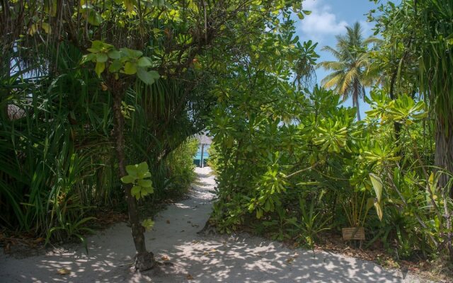 Coco Palm Dhuni Kolhu