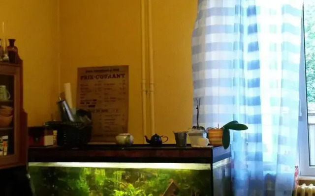 Appartement Dettwiller