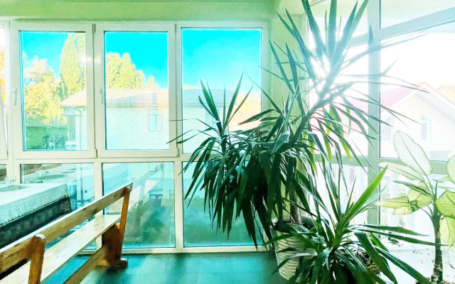 Волна Адлер