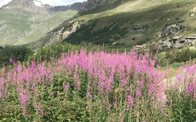 Résidence Les Pistes