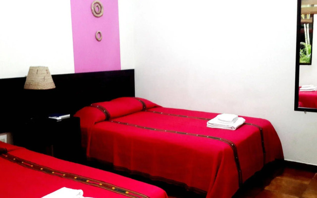 Árbol de Fuego Eco-hotel, a green experience in the city
