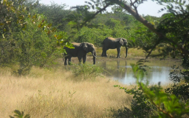 Silonque Bush Estate & Spa
