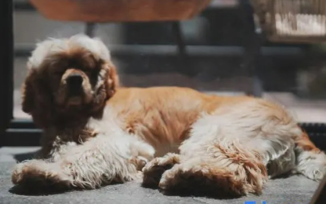 Jiuzhaigou Yunfuli Yunsu·Jingshui Yunju Homestay