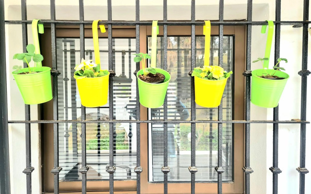 SunRise Sea Views Eco Apartment With Swimming Pool