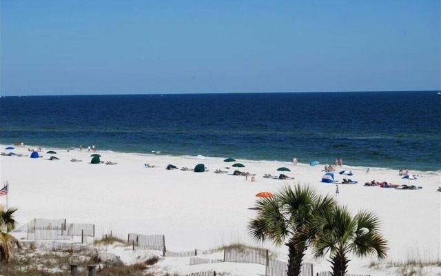 ShoalWater 1103 by RedAwning