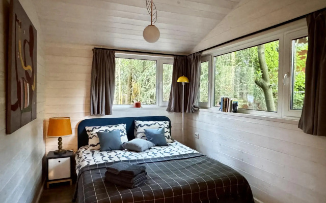 Репинские дачи