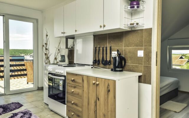 Apartment Amadea Novigrad (Zadar) 42532