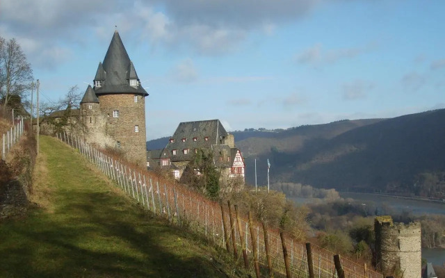 Schau-Rhein#1 - On top of Bacharach, Rhineview