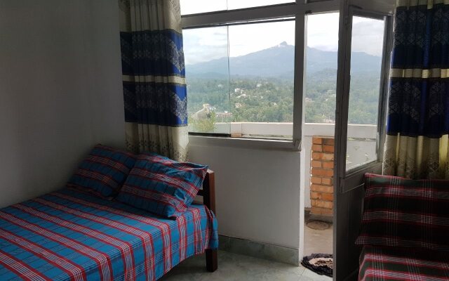 Mount view 11