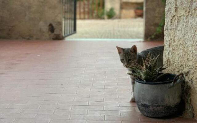 Affittacamere Ternulla