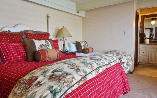 Snowmass Enclave 101