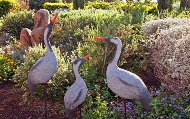 Musical Garden Cabins