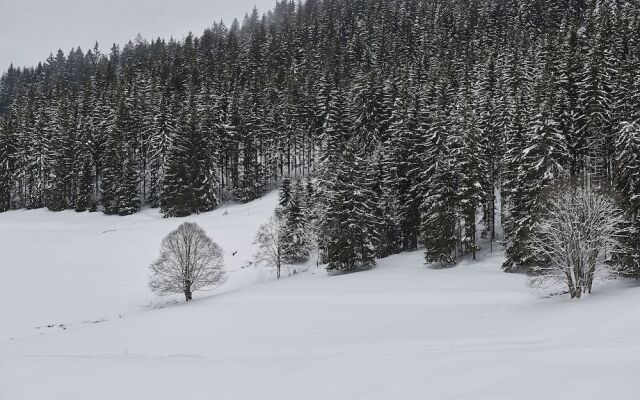 Black Forest Lodge