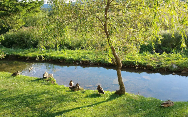 Rustic Inn River 2