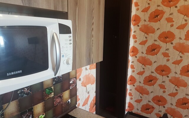 Zhukovsky apartment