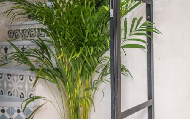 Rey de Sevilla Flats Dúplex Museo