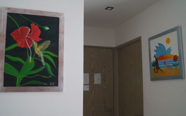 Romantic Zone Zenith Studio