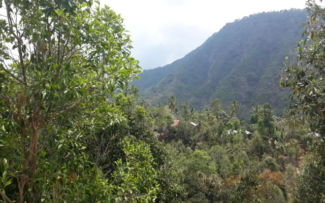 Sugi Gede Homestay