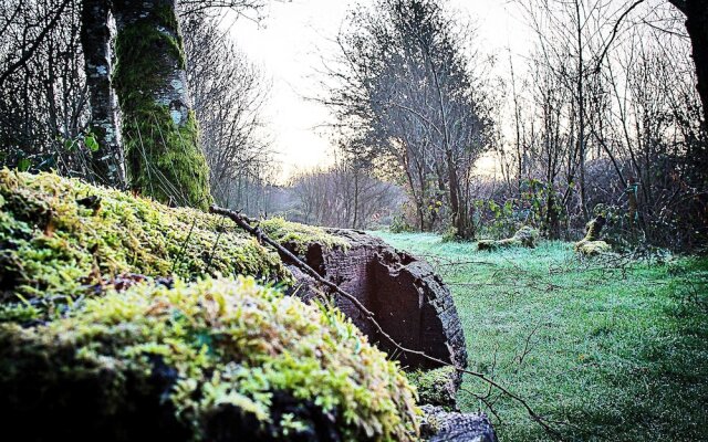 Waunwthan: B&B Suites