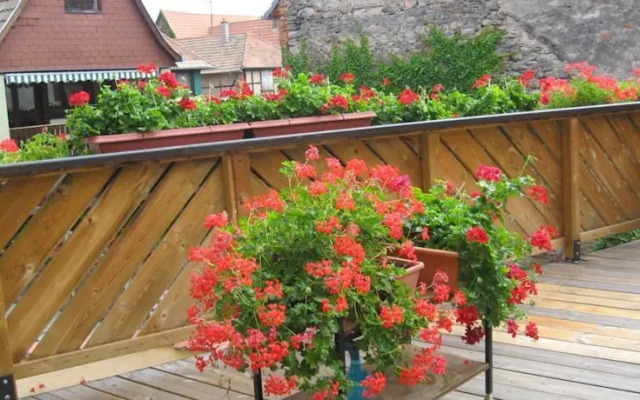 Chambre d'Hôtes Haensler