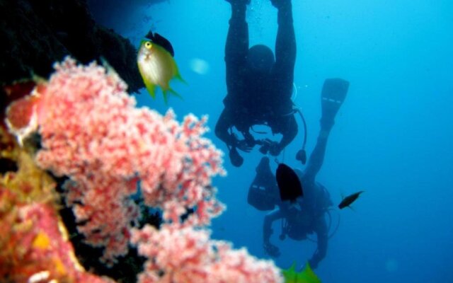 Kalipayan Beach Resort & Atlantis Dive Center