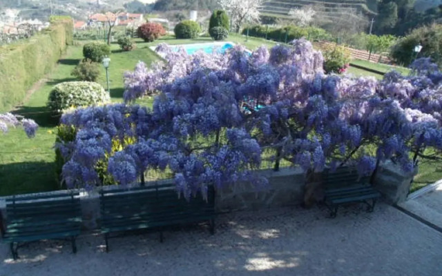 Quinta da Casa Grande Pinheiro
