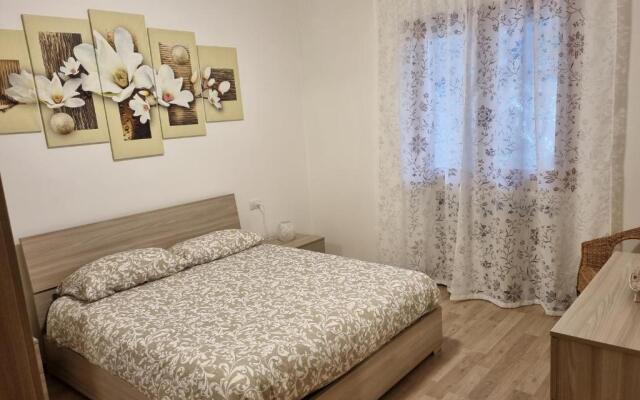 Matteo's House