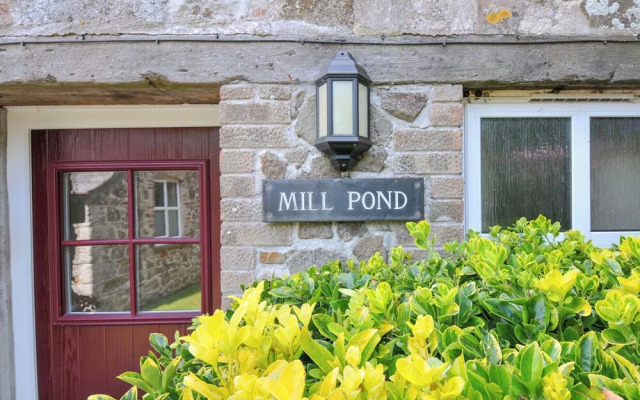 Mill Pond