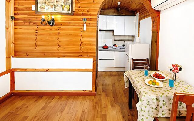 Chuncheon(Namiseom) Remember Pension (Spa, BBQ, Pick up)