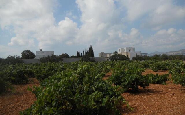 Villa Kampos Paros