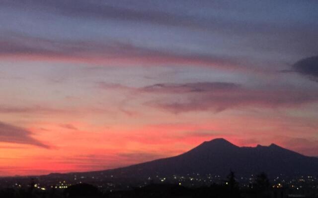 Secret pearl! Amalfi Coast, Pompei & Naples Free parking