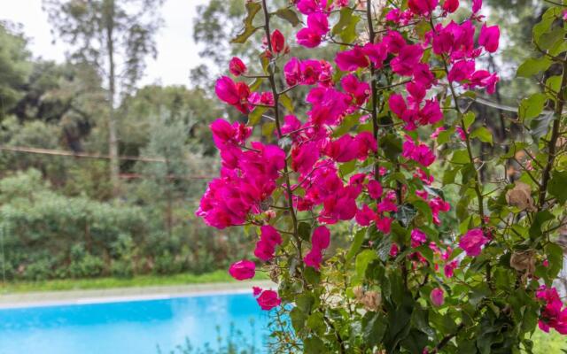 Marvelous, Secluded Villa w/ 3 BR , Pool & Garden, Kavos