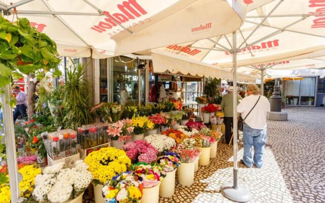 Apartamentos LOTO y LIZ by Cadiz4Rentals