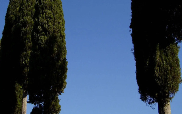 Podere Pievina Delle Corti