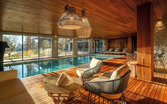 Golden Tulip Canela OFICIAL