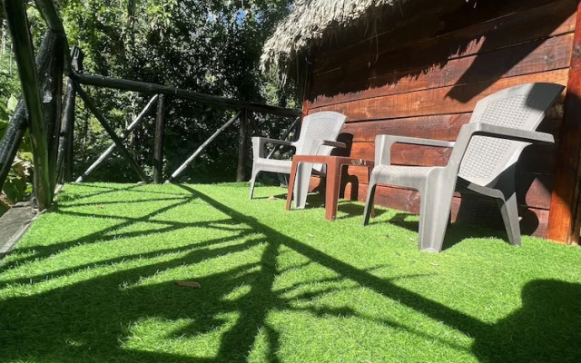 Sámana tropical