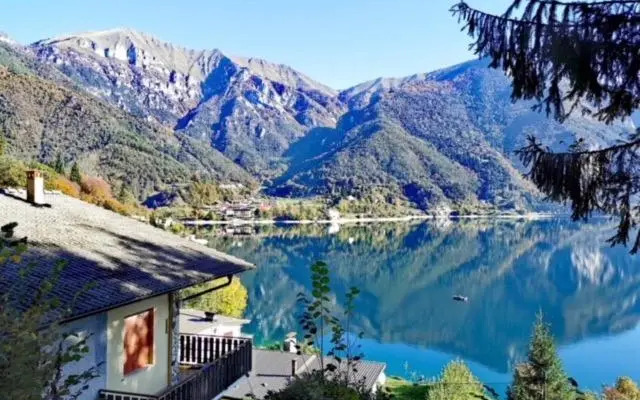 Seia Mountain Wellness