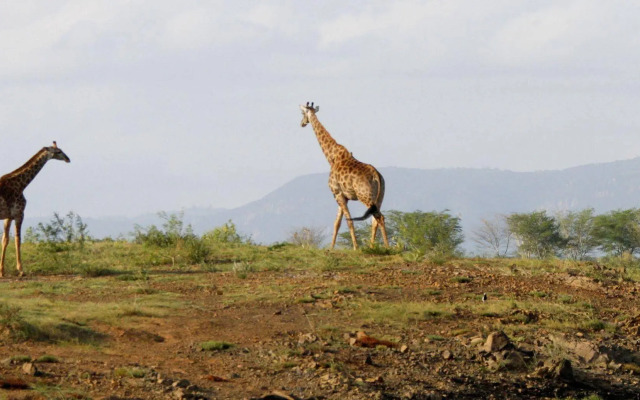 Shayamoya Tiger Fishing and Game Lodge