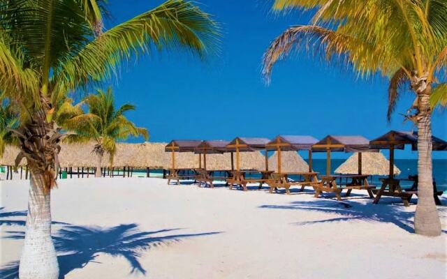 Kaeli's Caribbean Studios