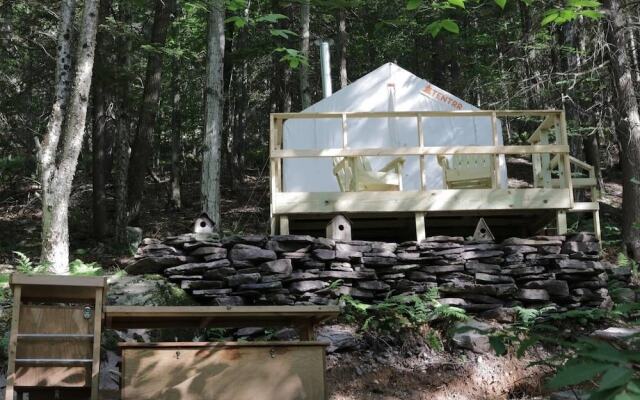 Tentrr - Birdwatcher